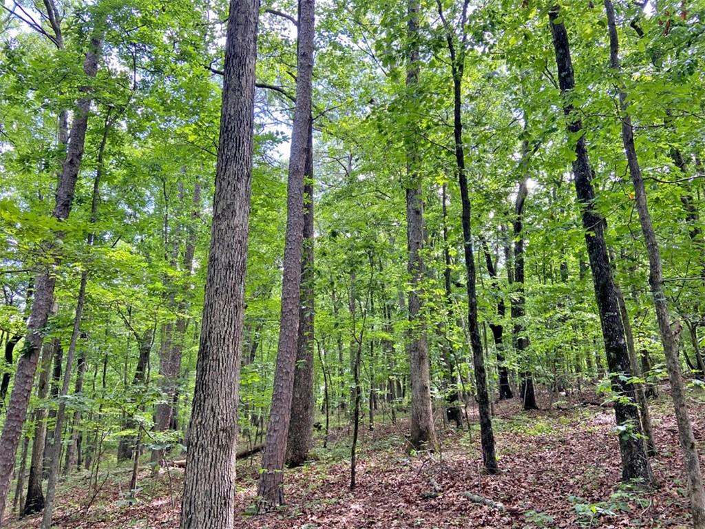39.2ac Falling Pines Road