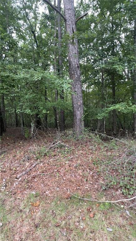 Vacant Land For Sale - 5850 Double Birch<br/> Douglasville, GA 30135