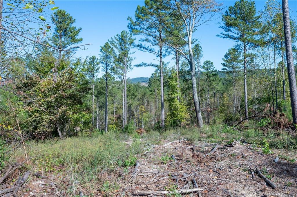 3871 HWY 140 NE