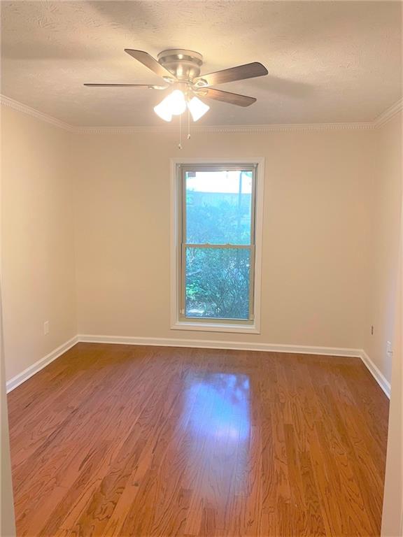 919 Dunbar Drive