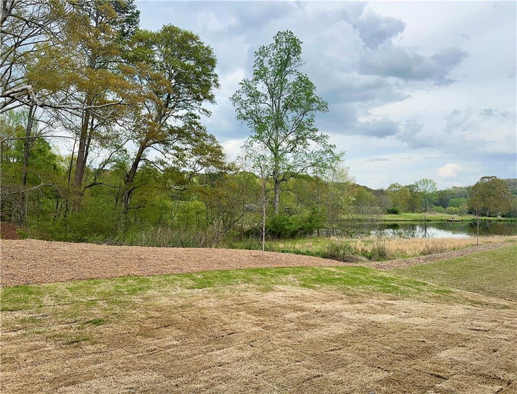 459 Fox Creek Drive, Braselton, Georgia image 22