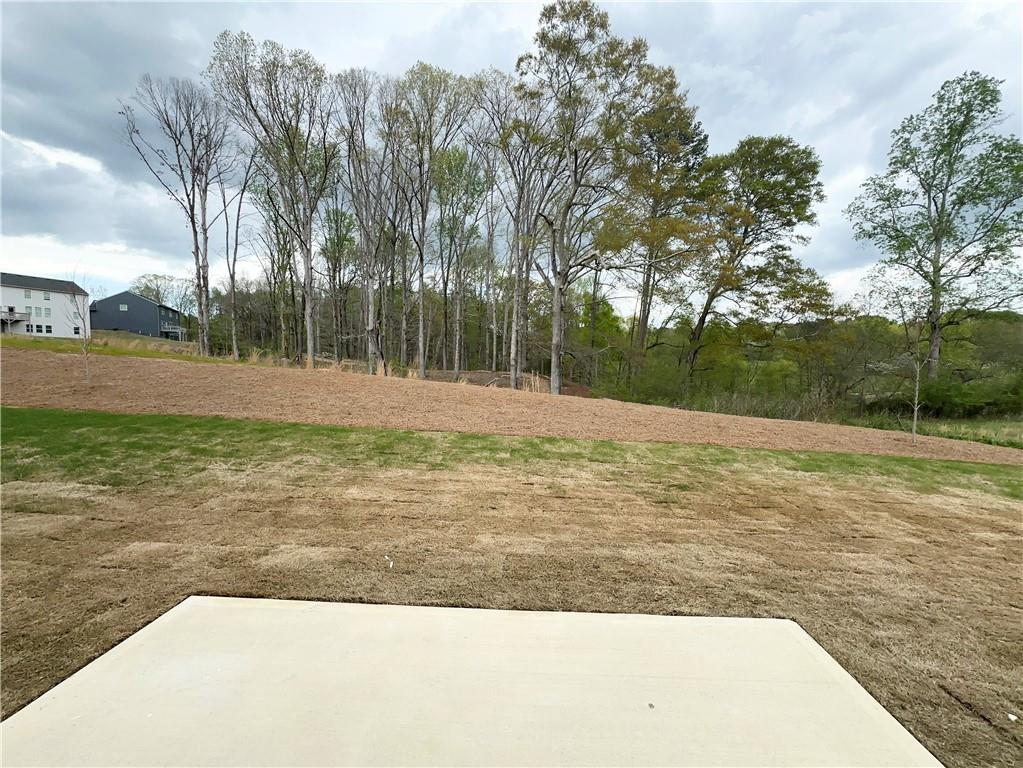 459 Fox Creek Drive, Braselton, Georgia image 21