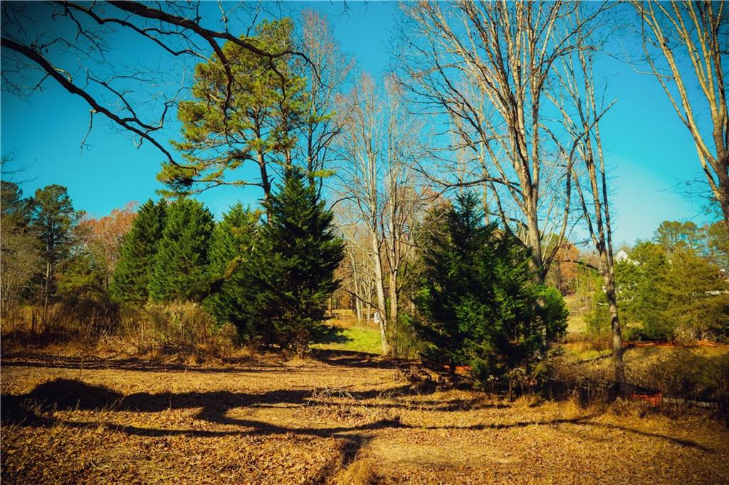 210 Thompson Trail, Milton, Georgia image 8