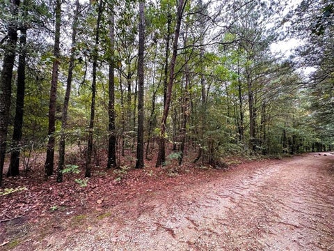 Vacant Land For Sale - LOT 17 Lakeview Circle<br/> Gordon County, Ranger, GA 30734