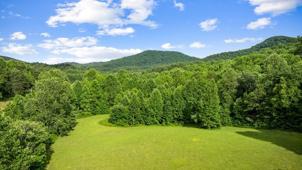 225 Cohutta Ranch Road