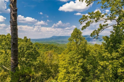 Vacant Land For Sale - 104 Hopewell Drive<br/> Ranger, GA 30734
