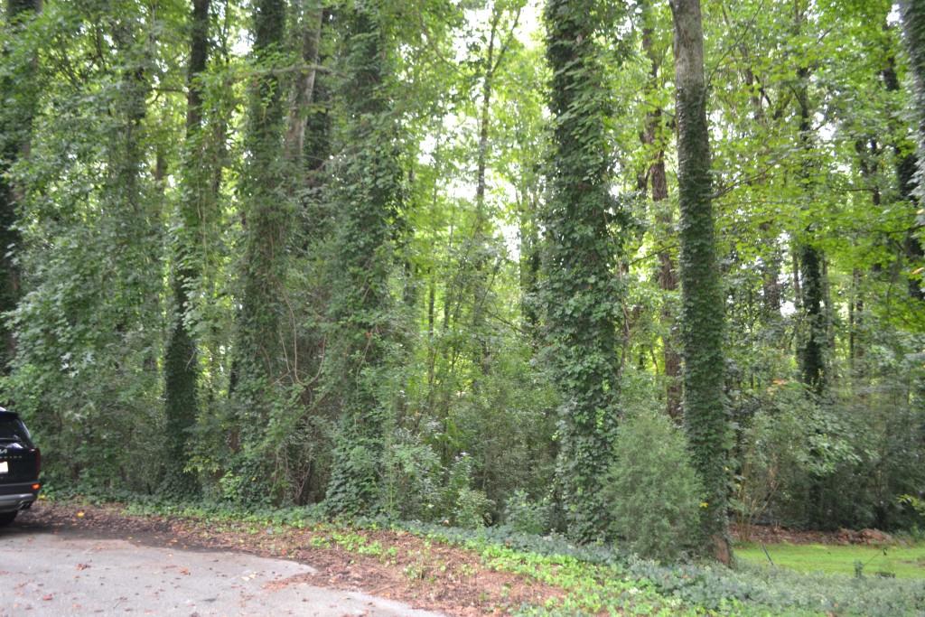 THE SELLER IS SELLING 2 ADJOINING LOTS: 6150 S. SKYLINE DRIVE AND 6166 S. SKYLINE DRIVE. THE ACREAGE OF THE LOTS TOTAL 1.1668 ACRES AND IS LOCATED ON A DEAD END STREET. THESE LOTS MAKE A PERFECT PLACE IN DOUGLAS COUNTY TO BUILD YOUR DREAM HOME! A SOIL STUDY HAS ALREADY BEEN COMPLETED. THE POSSIBILITIES ARE ENDLESS ON THIS CUL-DE-SAC LOT! LOCATED IN A SOUGHT AFTER SCHOOL DISTRICT! PUBLIC WATER, NATURAL GAS AND ELECTRICITY ARE ACCESSIBLE. BEAUTIFUL WOODED LOTS SURROUNDED BY OTHER ESTABLISHED HOMES IN THE SUBDIVISION. THE LAND HAS CLOSE PROXIMITY TO I-20, ARBOR PLACE MALL, RESTAURANTS, SCHOOLS AND HARTSFIELD JACKSON ATLANTA AIRPORT.