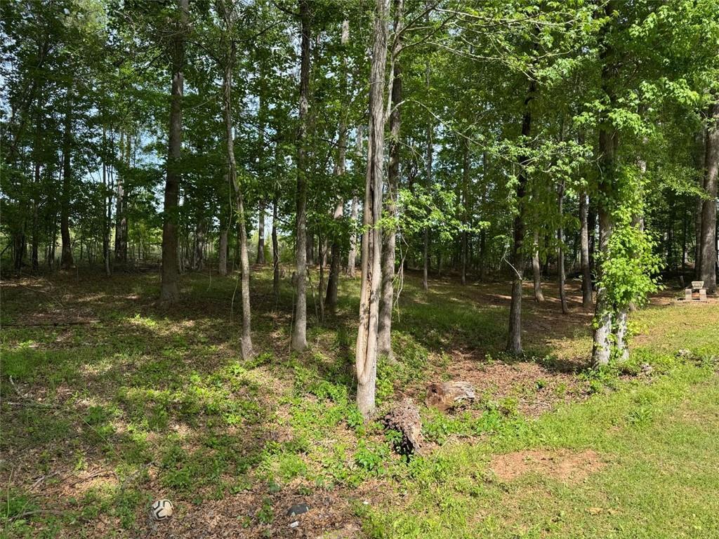 224 Little River Trail, Eatonton, Georgia image 35