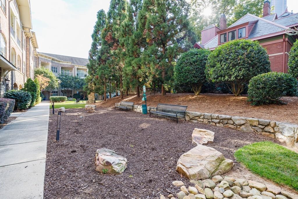 Harper on Piedmont - Residential