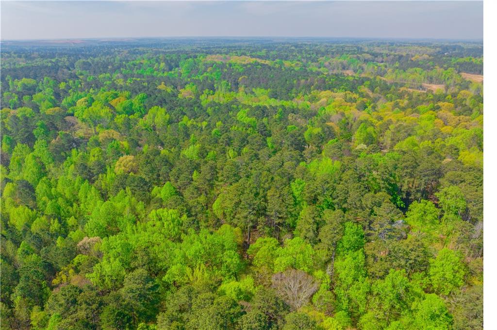 Lake Esther Drive, Fairburn, Georgia image 10