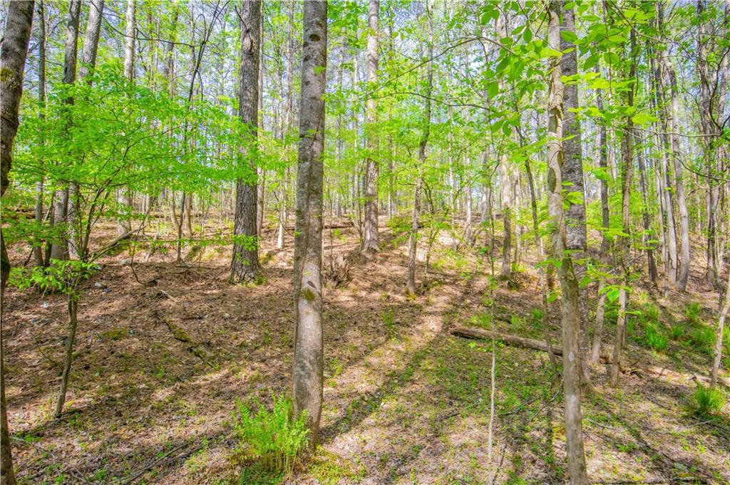 Lake Esther Drive, Fairburn, Georgia image 7