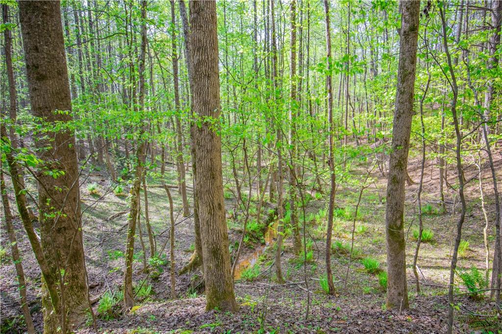 Lake Esther Drive, Fairburn, Georgia image 5