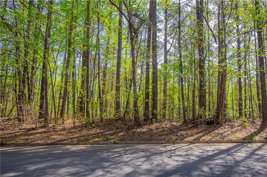 Lake Esther Drive, Fairburn, Georgia image 1