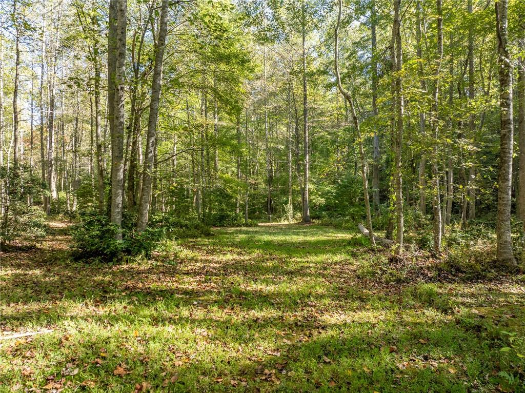 118 Jordan Lane, Talking Rock, Georgia image 31