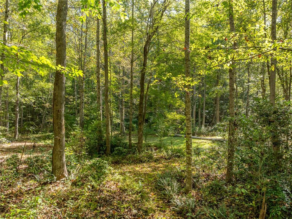 118 Jordan Lane, Talking Rock, Georgia image 27