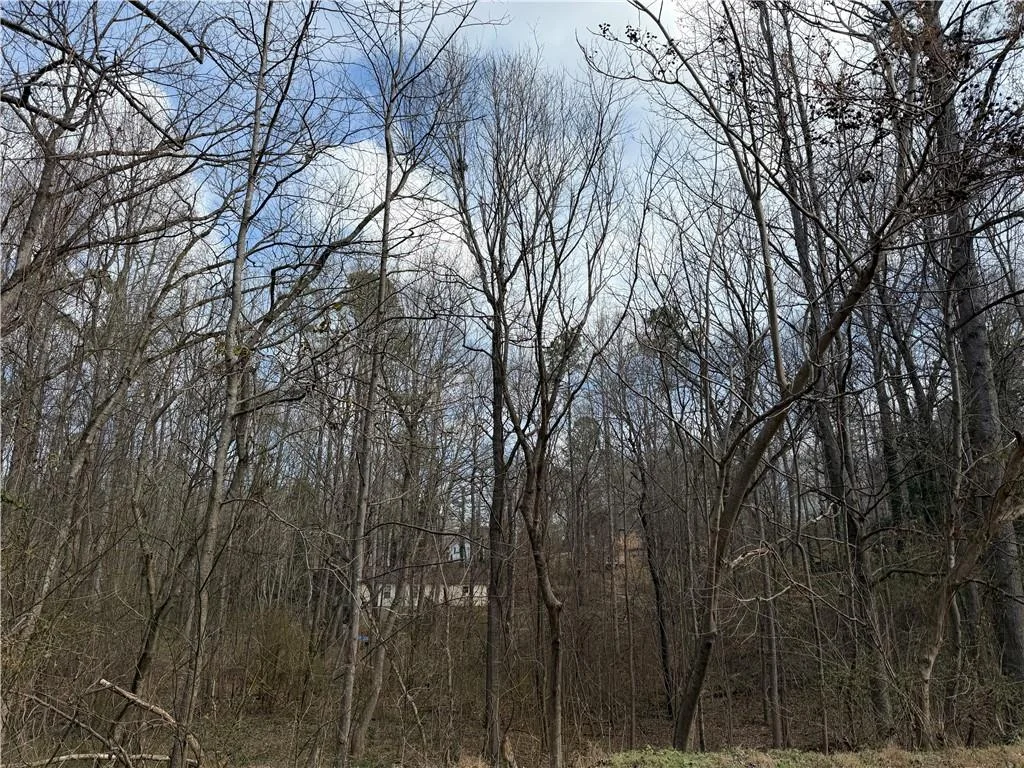 66 Red Top Circle, Emerson, GA, 30137