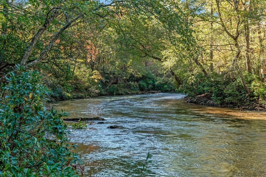 River Forest Run, Cleveland, Georgia image 21