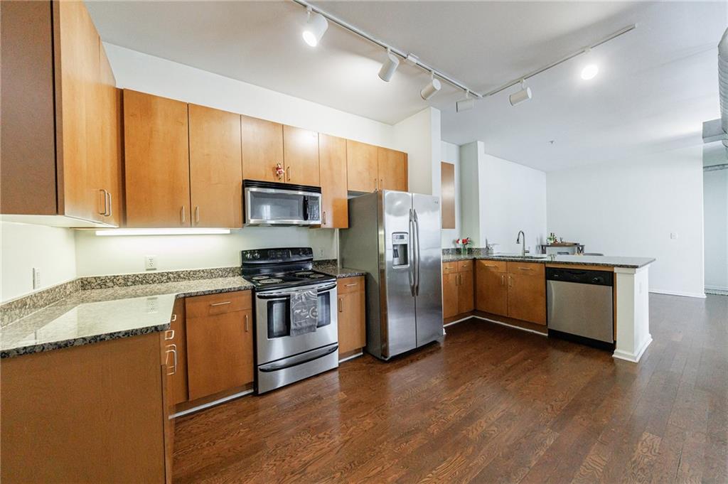 5300 Peachtree Road 1209