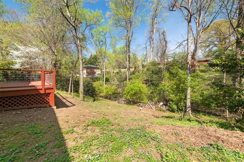 2362 Glynn Drive, Atlanta, Georgia image 43