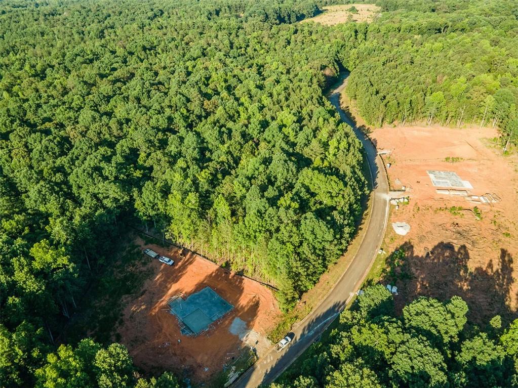 1030 Queens Bridge Way, Griffin, Georgia image 13