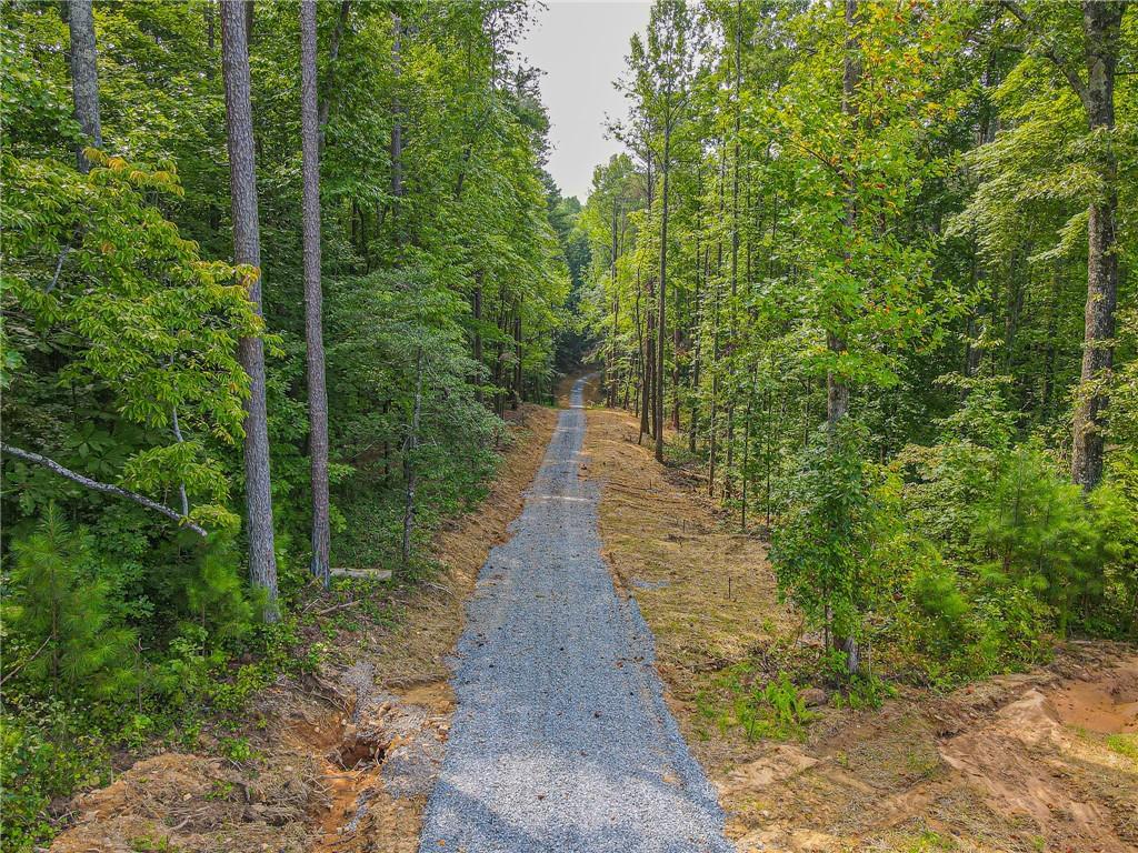 Orchard Lane, Talking Rock, Georgia image 6