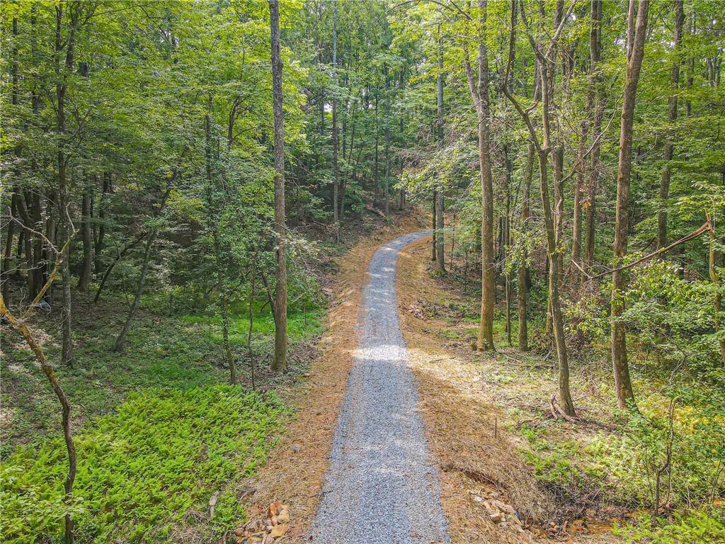 Orchard Lane, Talking Rock, Georgia image 7