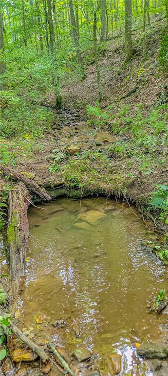 Orchard Lane, Talking Rock, Georgia image 9