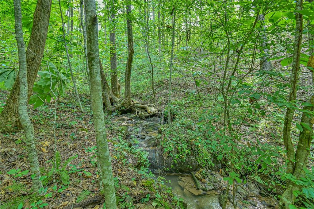 Orchard Lane, Talking Rock, Georgia image 16