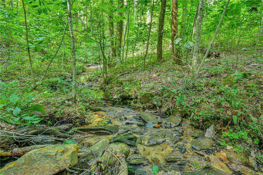 Orchard Lane, Talking Rock, Georgia image 8