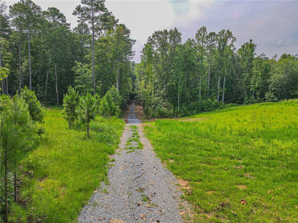 Orchard Lane, Talking Rock, Georgia image 1