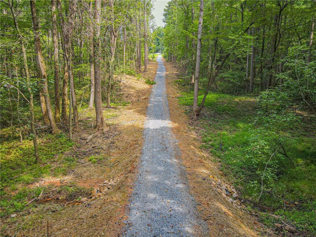 Orchard Lane, Talking Rock, Georgia image 11