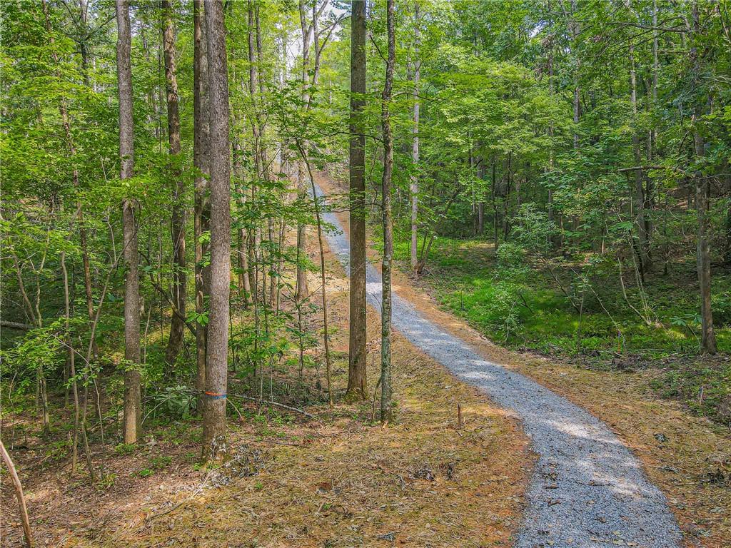 Orchard Lane, Talking Rock, Georgia image 13