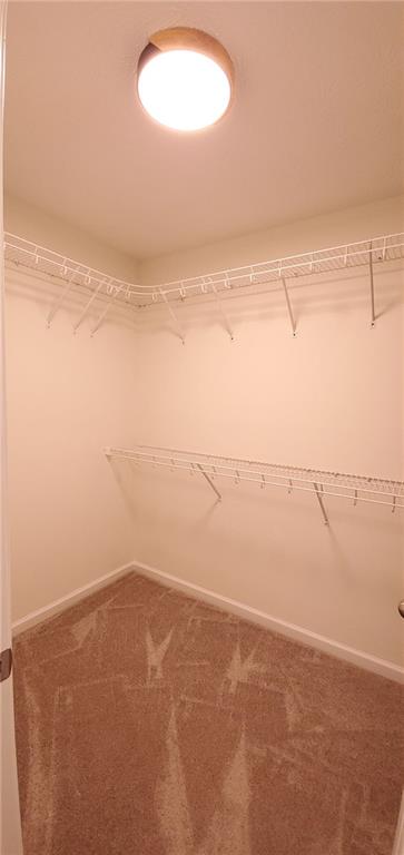 221 Bridgemill Lane, Hampton, Georgia image 31