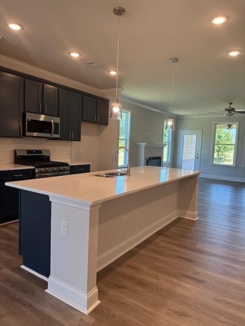 2404 Anhinga Drive