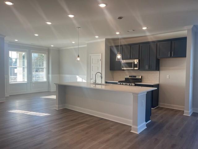 2404 Anhinga Drive