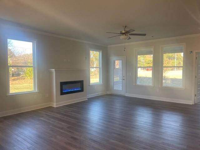 2404 Anhinga Drive