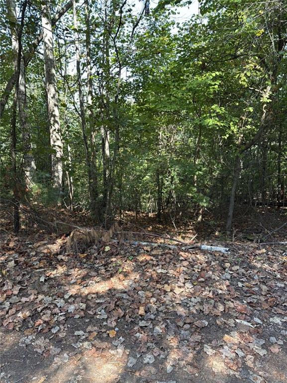 Photo of 946 Aurora Lane, Ranger, GA 30734 (MLS # 7840863)