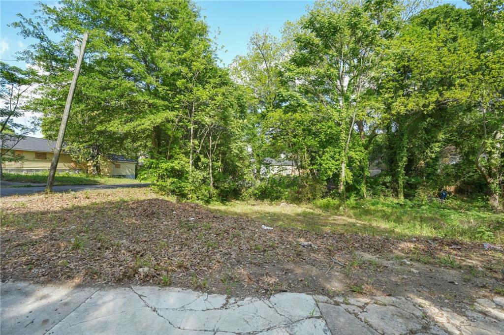 459 Paines Avenue, Atlanta, Georgia image 7