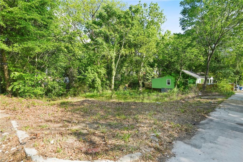 459 Paines Avenue, Atlanta, Georgia image 6