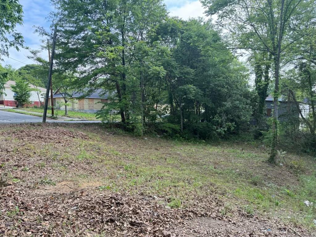 459 Paines Avenue, Atlanta, Georgia image 10