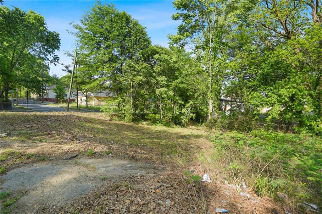 459 Paines Avenue, Atlanta, Georgia image 11