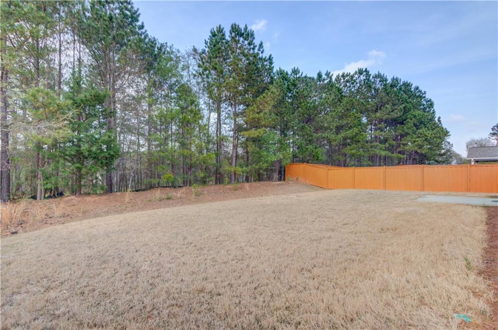 174 Livingston Court, Winder, Georgia image 37