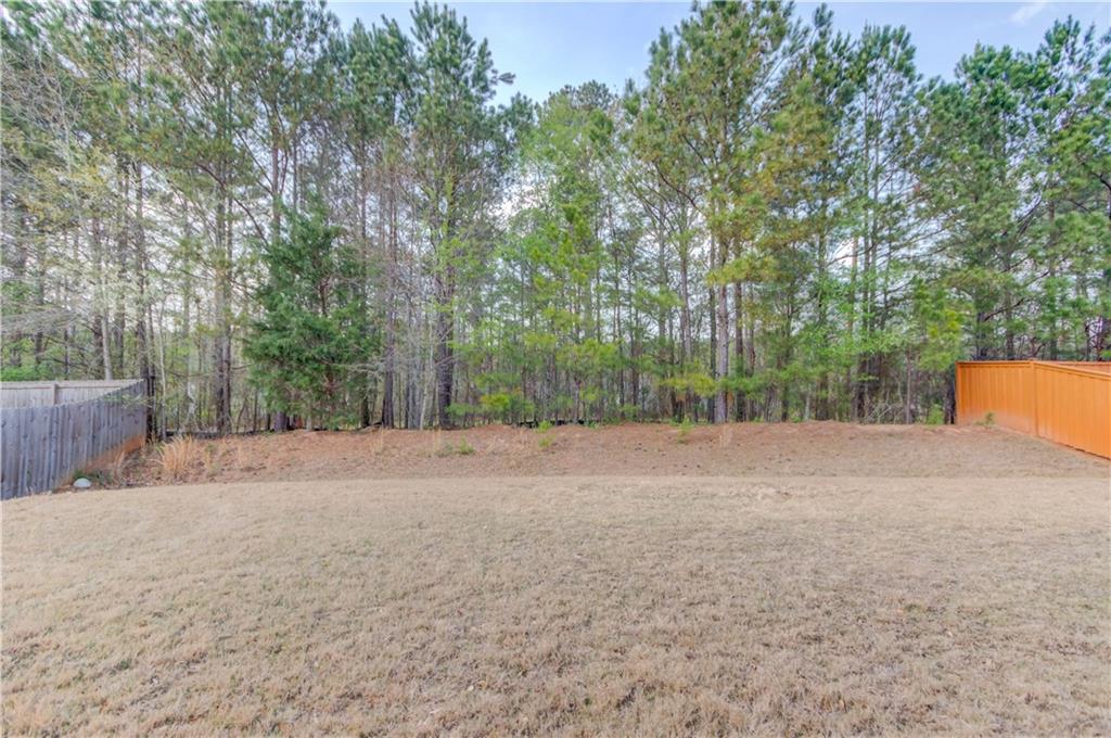 174 Livingston Court, Winder, Georgia image 35