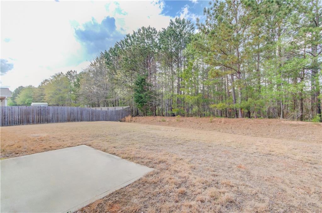 174 Livingston Court, Winder, Georgia image 36