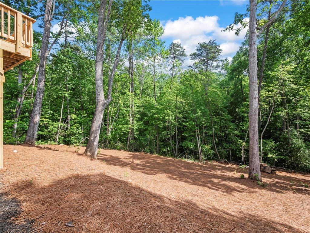 64 Hannahs Court, Dawsonville, Georgia image 36