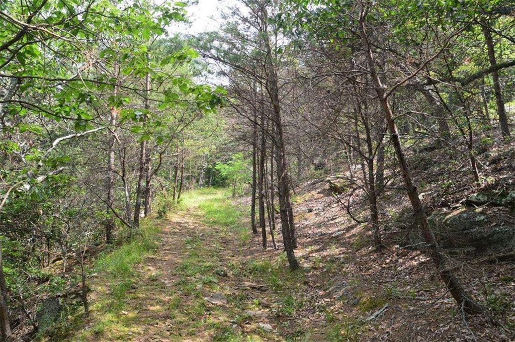 48.64 Acres Highway 515 Frontage Commercial Potential Unrestrict – image 47