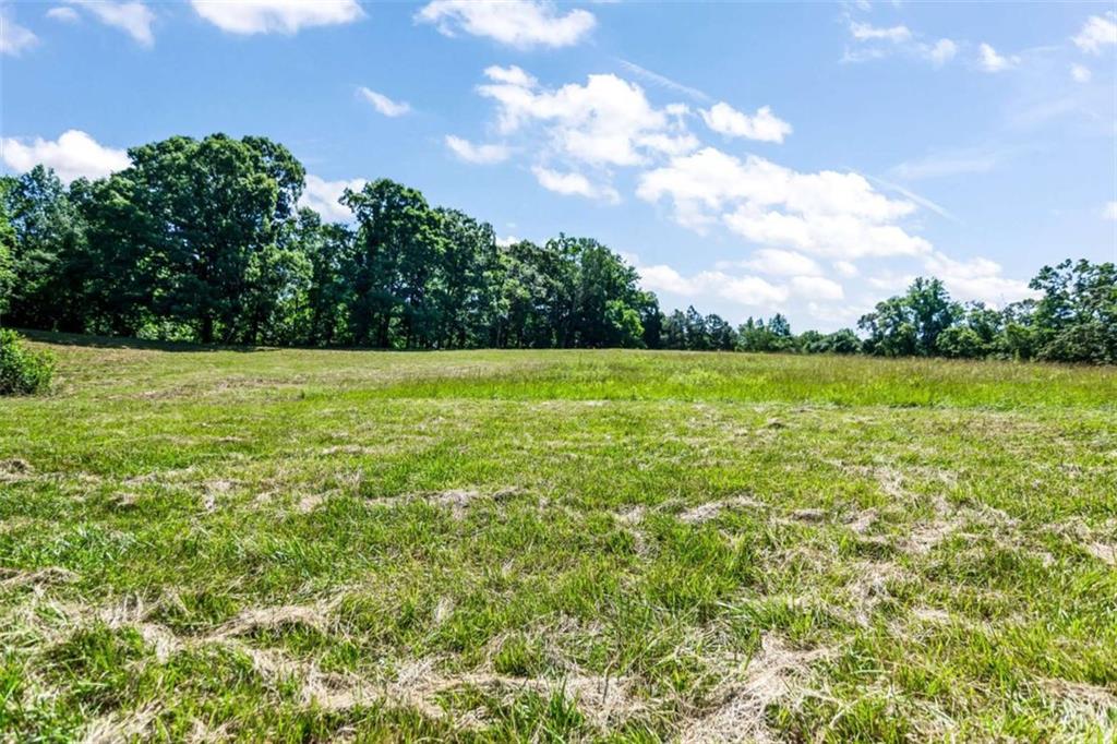 48.64 Acres Highway 515 Frontage Commercial Potential Unrestrict – image 25