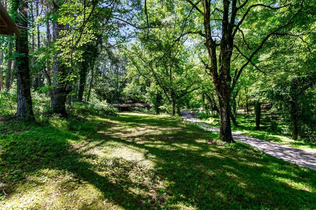 48.64 Acres Highway 515 Frontage Commercial Potential Unrestrict – image 31