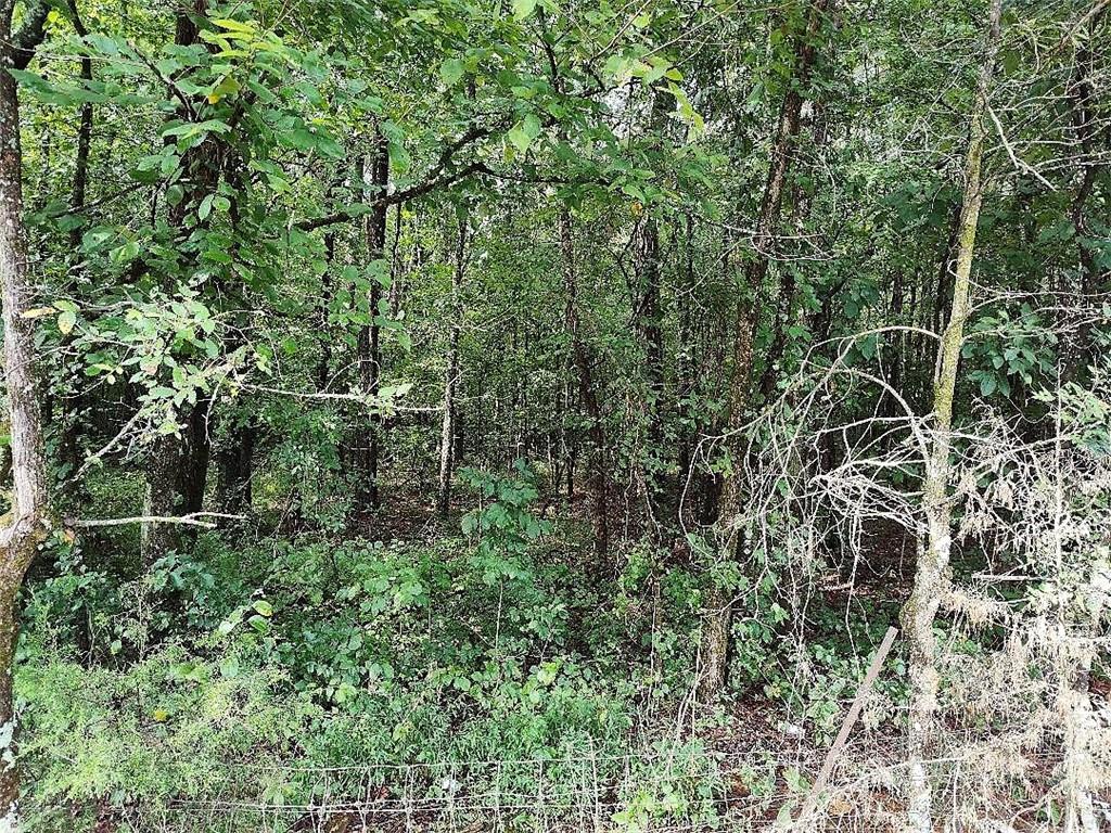 496 Flat Woods Road