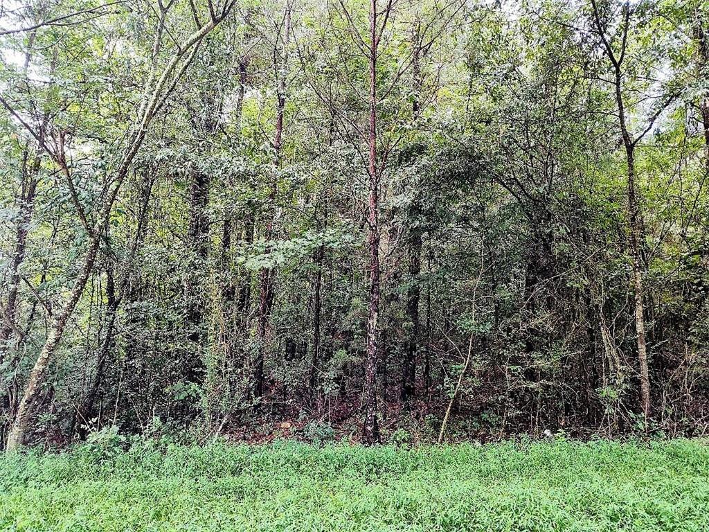 496 Flat Woods Road